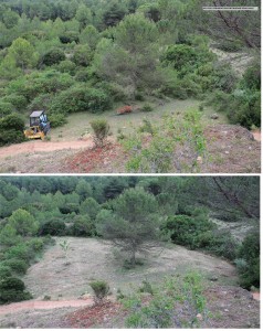 FOTO ANTES DESPUES VALLE TRACTOR CADENAS 2012 jpg