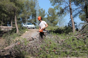 1-3-2012 camino subida balsa 2